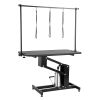 VEVOR 43" Hydraulic Pet Grooming Table, Heavy Duty Dog Grooming Arm for Medium/ Small Dogs, Height Adjustable Dog Grooming Station, Anti Slip Tabletop