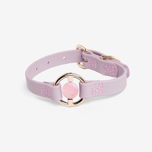 Luxury Spill-Proof Dog Collar Embedded with Healing Crystal